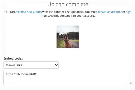 gutsy uploading.site|ImgBB — Upload Image — Free Image Hosting.